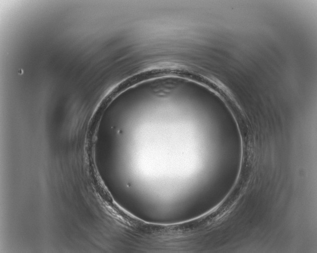 X0000067900783200604171402