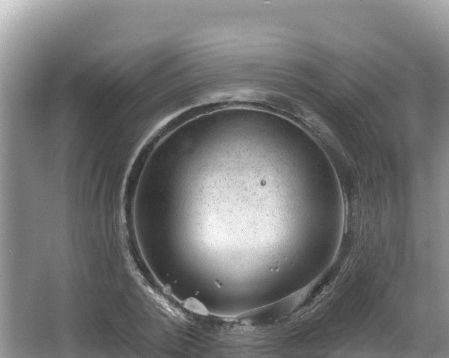 X0000067900784200604171402