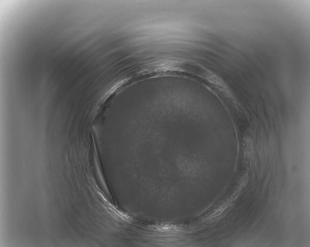 X0000067900785200604171402