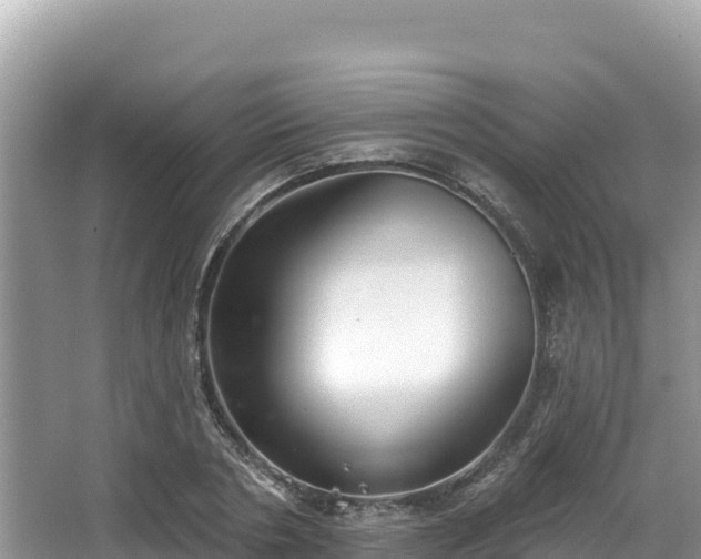 X0000067900786200604171402