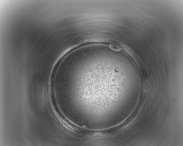 X0000067900787200604171402