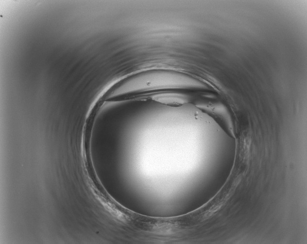 X0000067900788200604171402