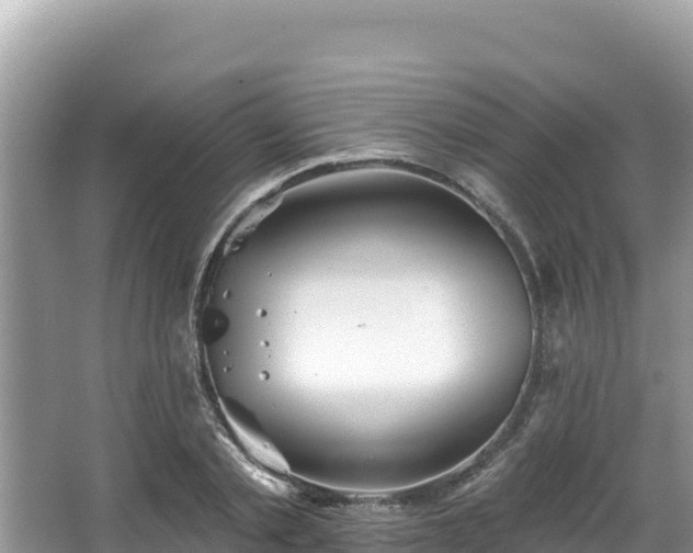 X0000067900789200604171402