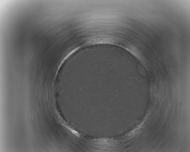 X0000067900790200604171402