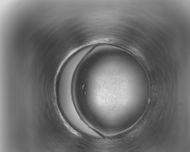 X0000067900792200604171402