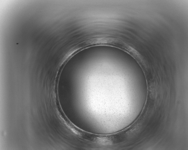 X0000067900794200604171401