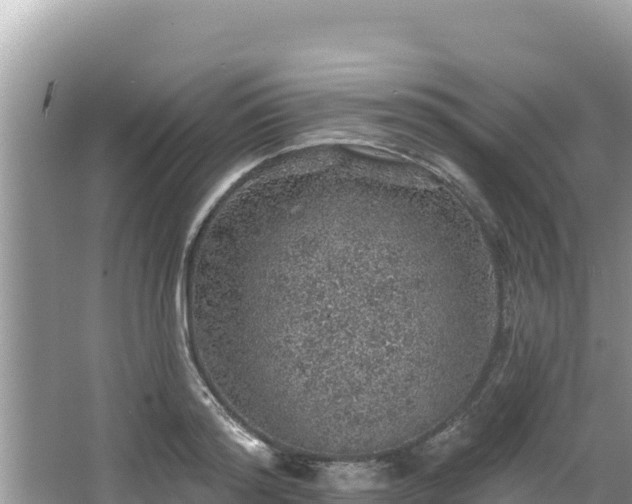 X0000067900796200604171401