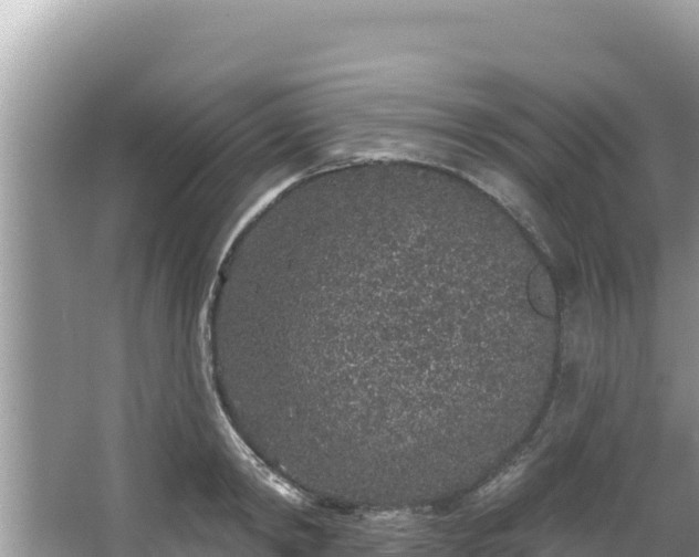 X0000067900798200604171401