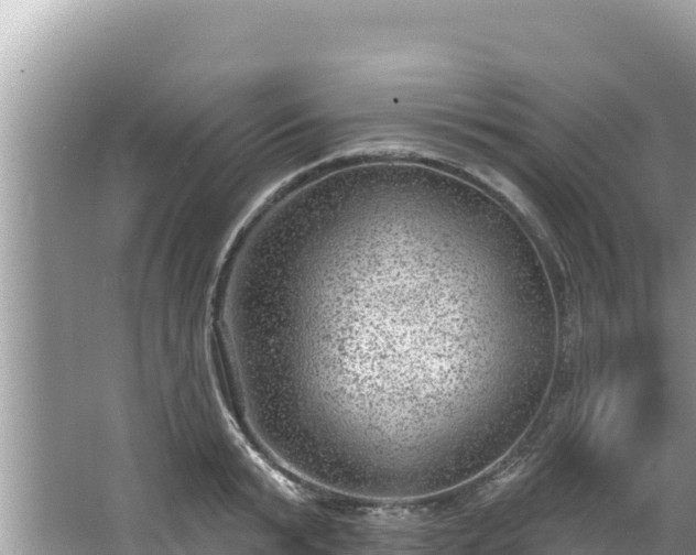 X0000067900799200604171401