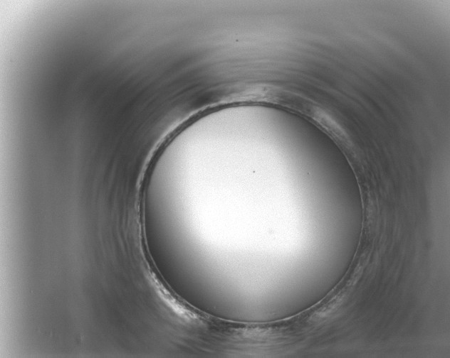 X0000067900800200604171401