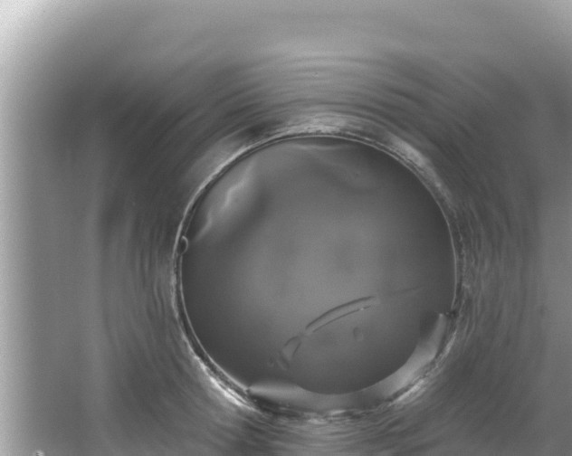 X0000067900802200604171401