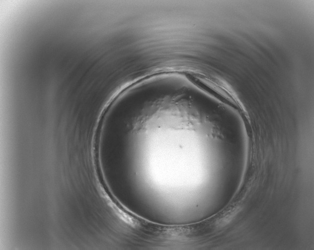 X0000067900803200604171401