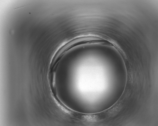 X0000067900805200604171401