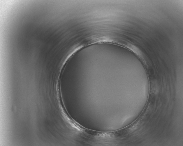 X0000067900806200604171401