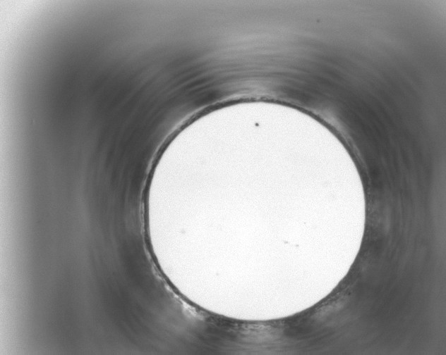 X0000067900807200604171401