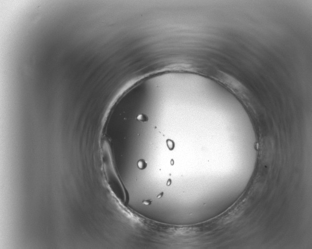 X0000067900808200604171401