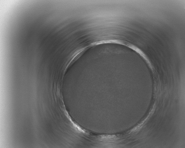 X0000067900809200604171401