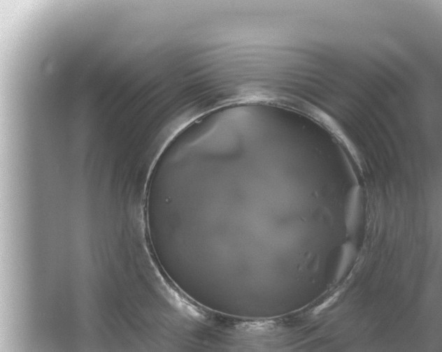 X0000067900810200604171401