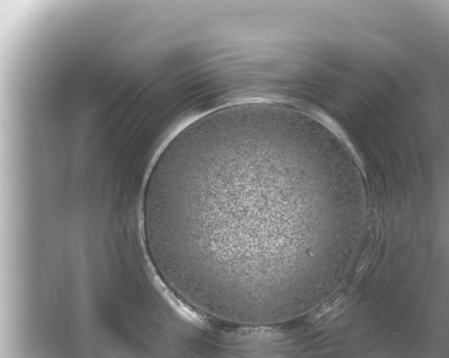 X0000067900811200604171401