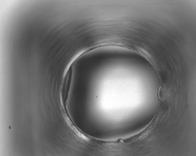 X0000067900812200604171401