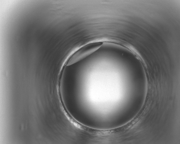 X0000067900813200604171401