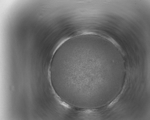 X0000067900814200604171401