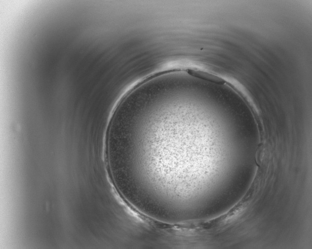 X0000067900815200604171401