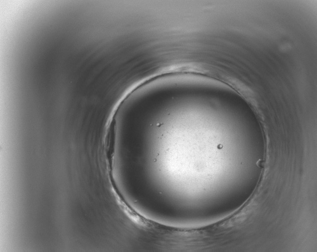 X0000067900816200604171401