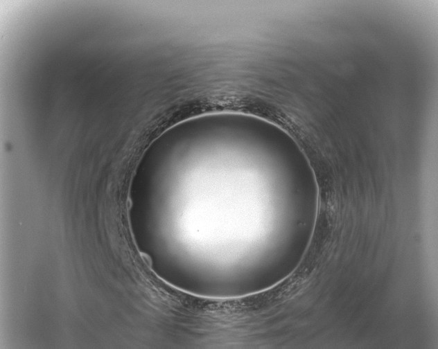 X0000067900817200604171400