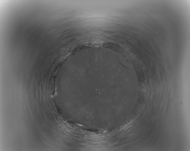 X0000067900818200604171400