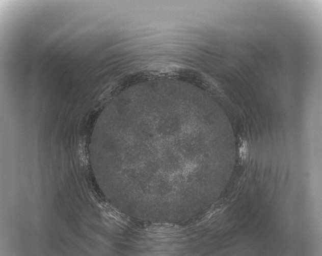 X0000067900819200604171400