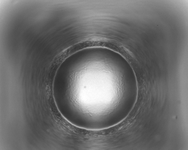 X0000067900821200604171400