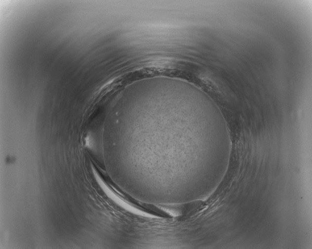 X0000067900822200604171400