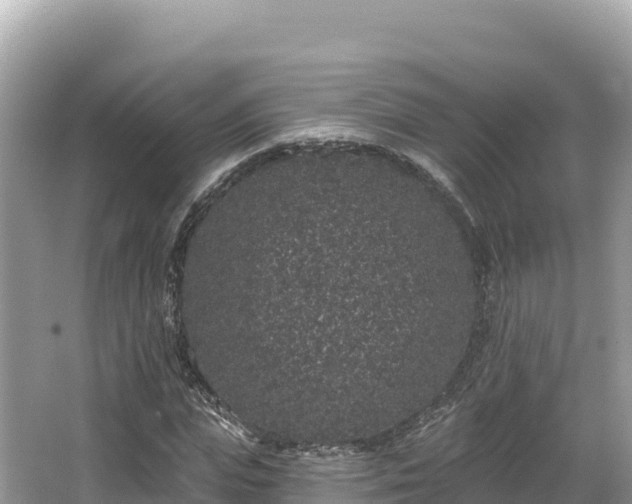 X0000067900823200604171400