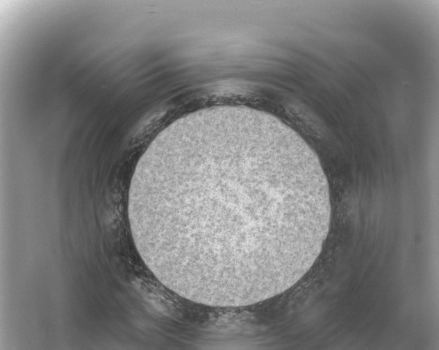 X0000067900824200604171400