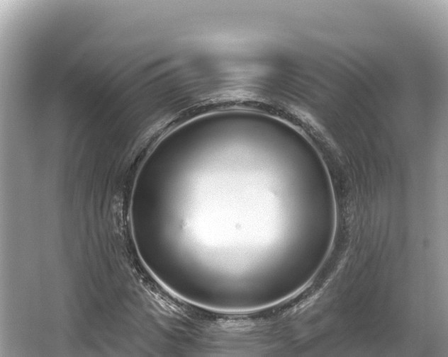 X0000067900825200604171400