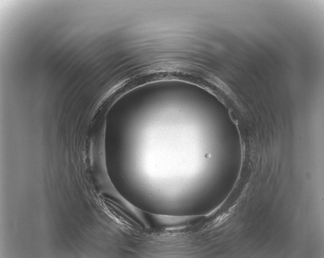 X0000067900826200604171400