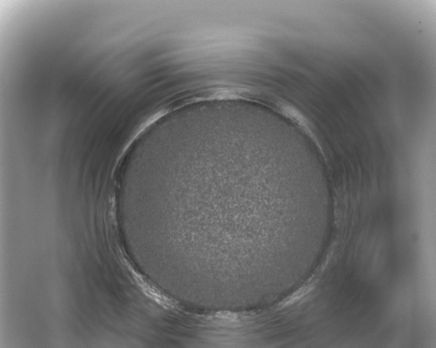 X0000067900827200604171400