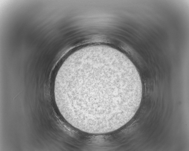 X0000067900828200604171400