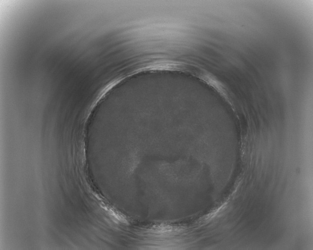 X0000067900829200604171400