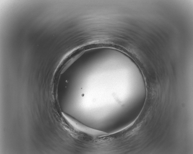 X0000067900830200604171401