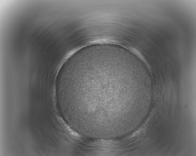 X0000067900831200604171401