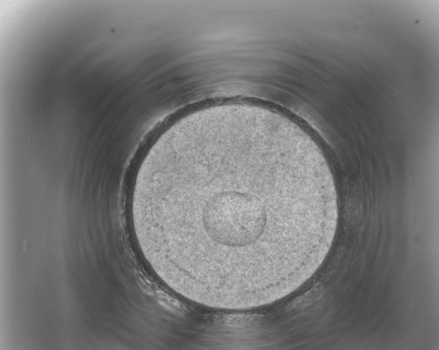 X0000067900832200604171401