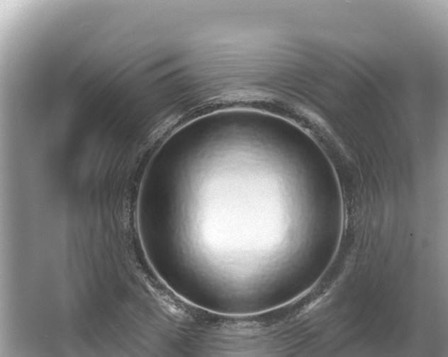 X0000067900833200604171401