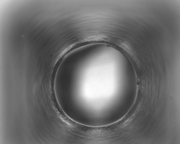 X0000067900834200604171401