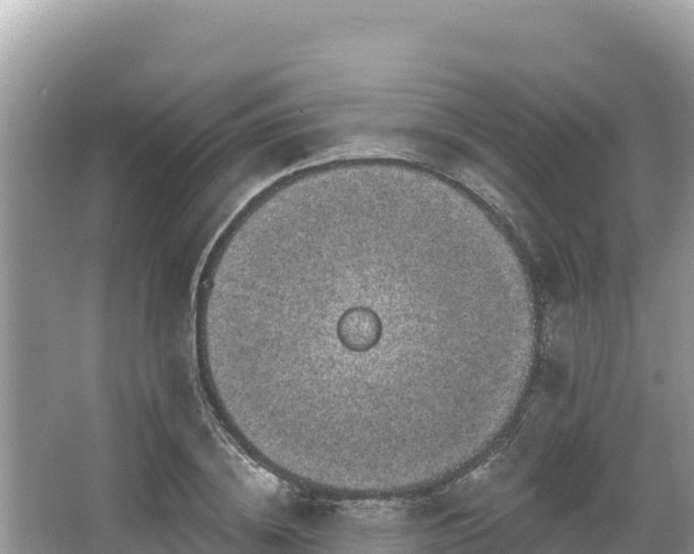 X0000067900836200604171401