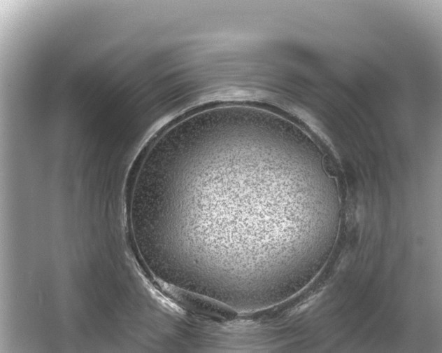 X0000067900837200604171401