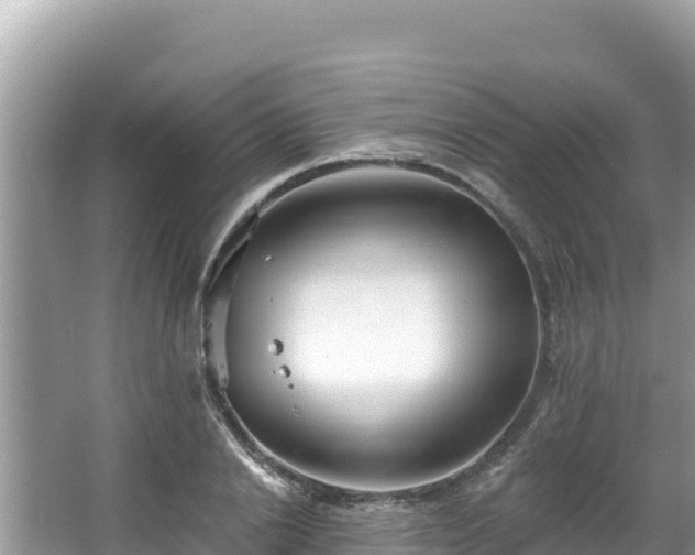 X0000067900838200604171401