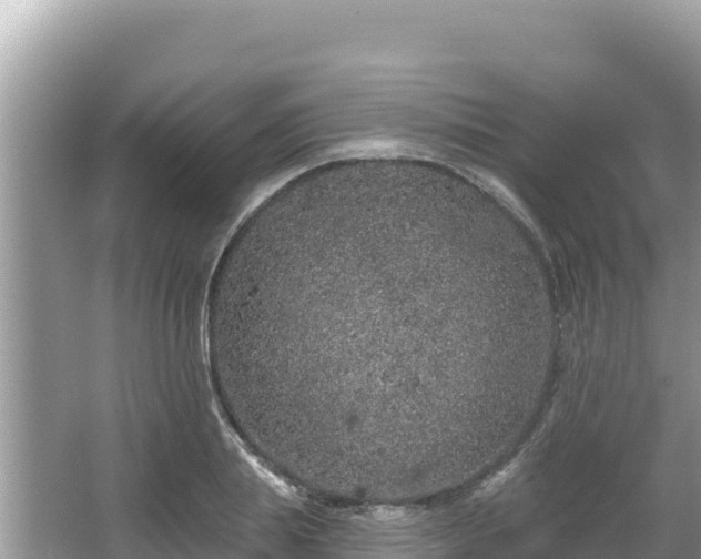 X0000067900839200604171401