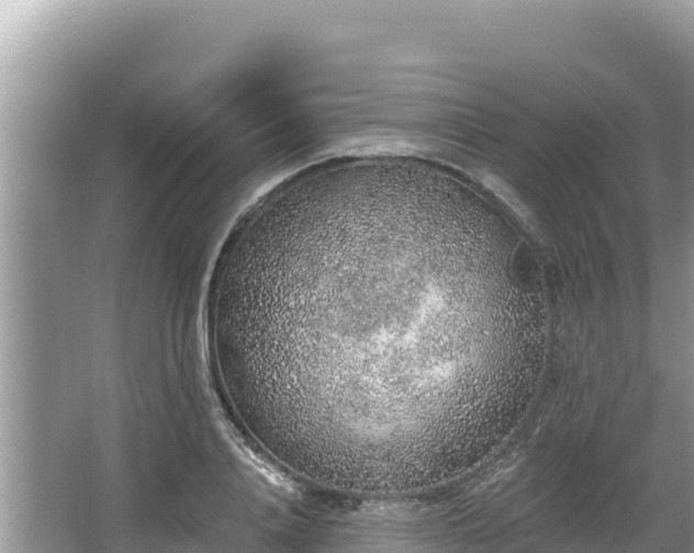 X0000067900840200604171401